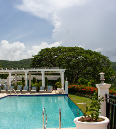 Clear swimming pool with white pergola, lounge chairs, and large shade tree