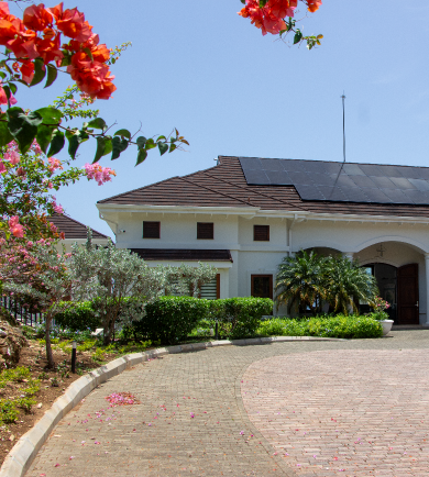 Residential house with solar panels on the roof and a landscaped driveway with flowering shrubs