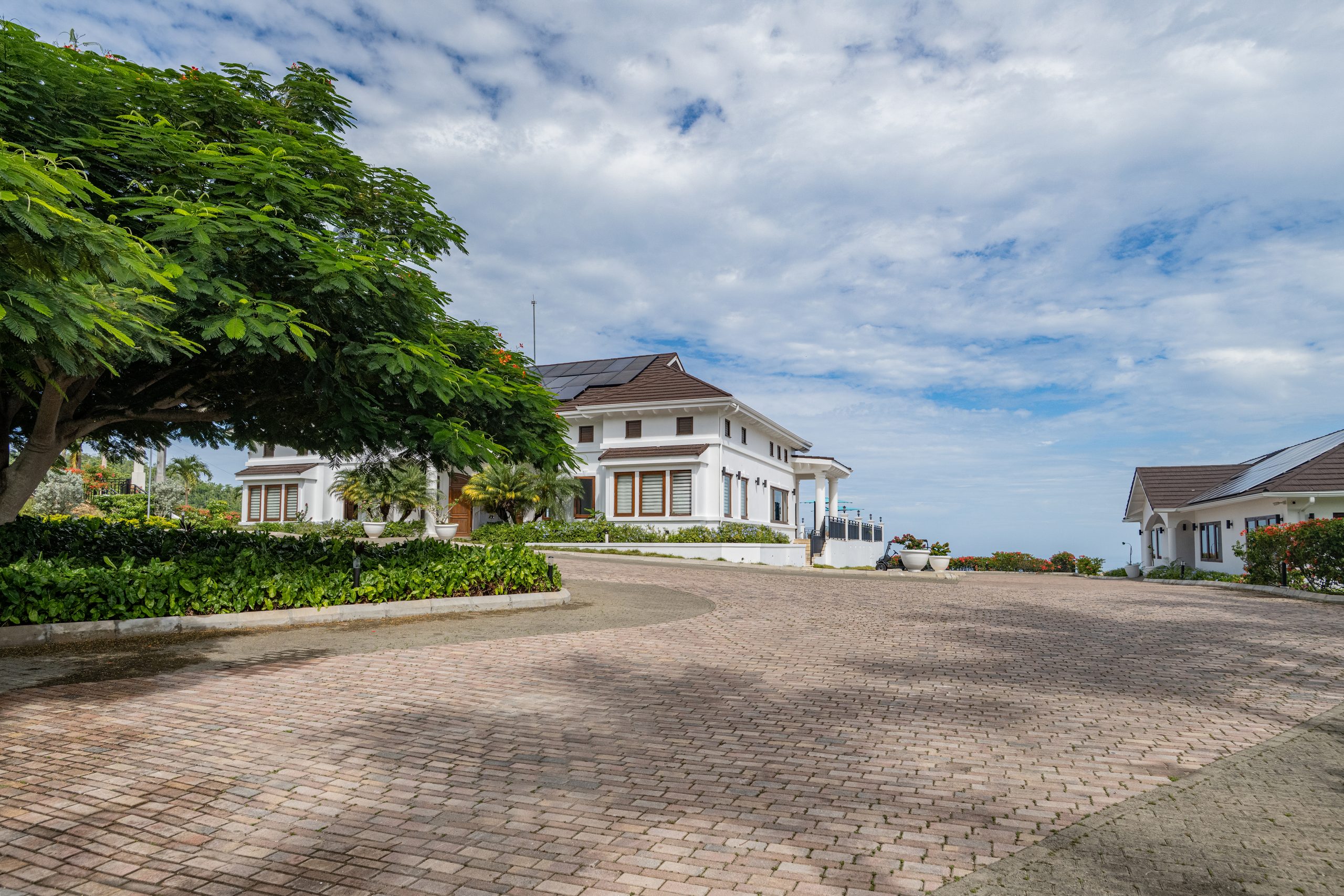 White clubhouse with solar panels, palms and a large leafy tree at a paved entrance
