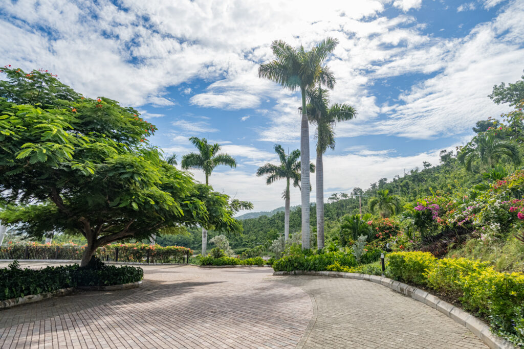 Palm-lined driveway surrounded by tropical landscaping and scenic hillside views at The Club at Reading Heights in Montego Bay, Jamaica.